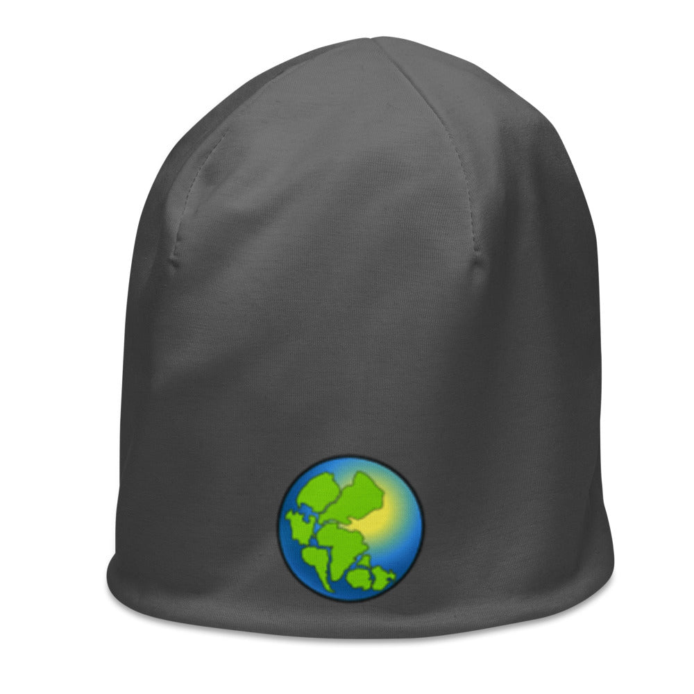 Made World Beanie (Grey)